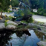 Lila Гостевой дом 3*