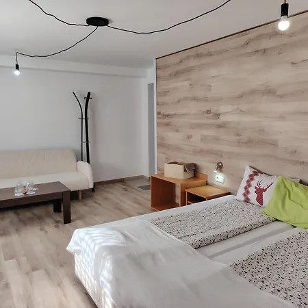 بيت ضيافة Lila بانسكو